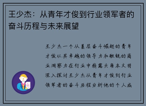 王少杰：从青年才俊到行业领军者的奋斗历程与未来展望